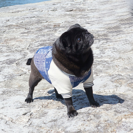 バンダナ ラグラントレーナー