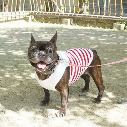 マリンボーダー パイピングタンクトップ レッド×ホワイト 【在庫限り】