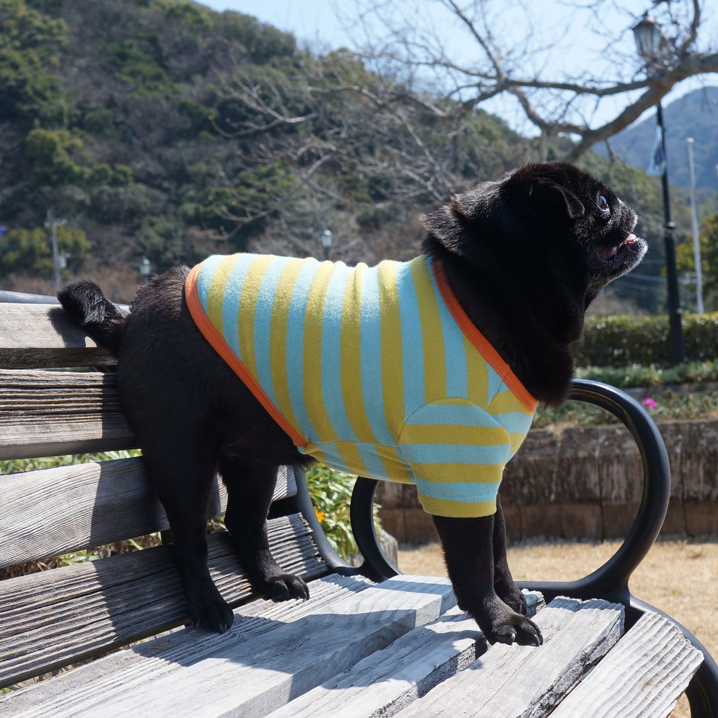 パステル パイル ボーダー Tシャツ