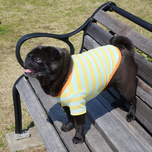 パステル パイル ボーダー Tシャツ