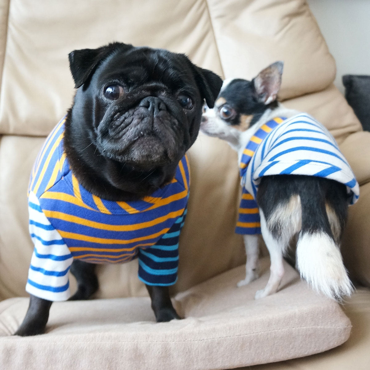 クレイジーボーダーTEE 長袖Tシャツ カットソー フレンチブルドッグ パグ 【在庫限り】