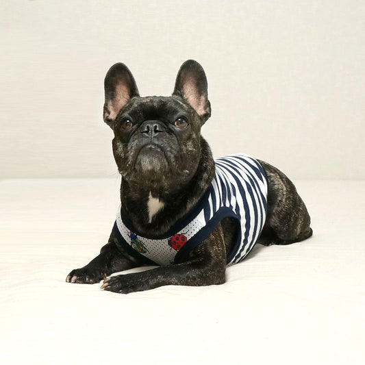 ボーダー×虫いっぱい/防蚊しましまタンクトップ