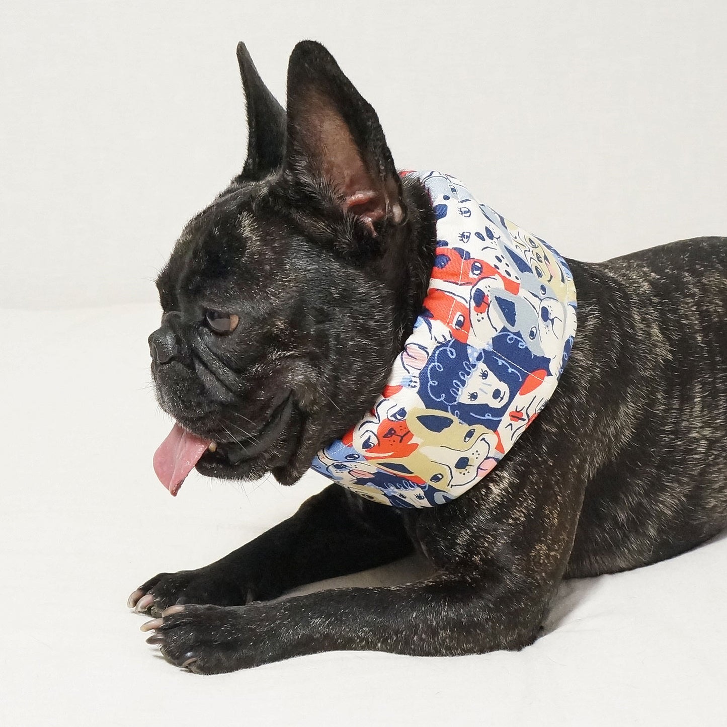 クールスヌード 犬いっぱい ピンク【訳アリ】【ラス1】【49cm】