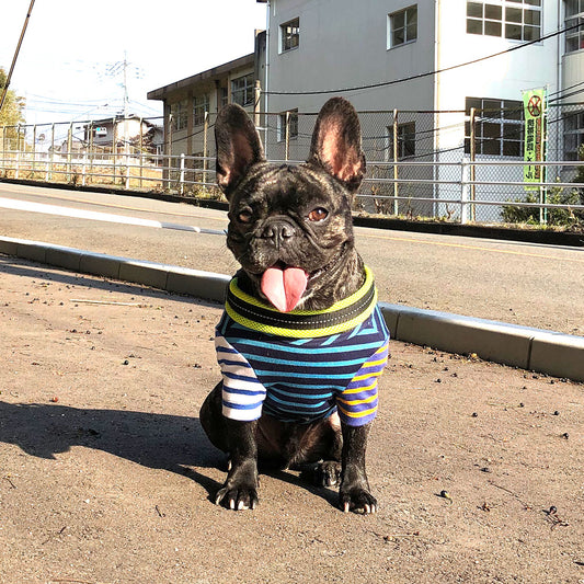 クレイジーボーダーTEE 長袖Tシャツ カットソー フレンチブルドッグ パグ 【在庫限り】