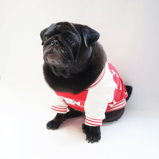 星柄 ラグラントレーナー