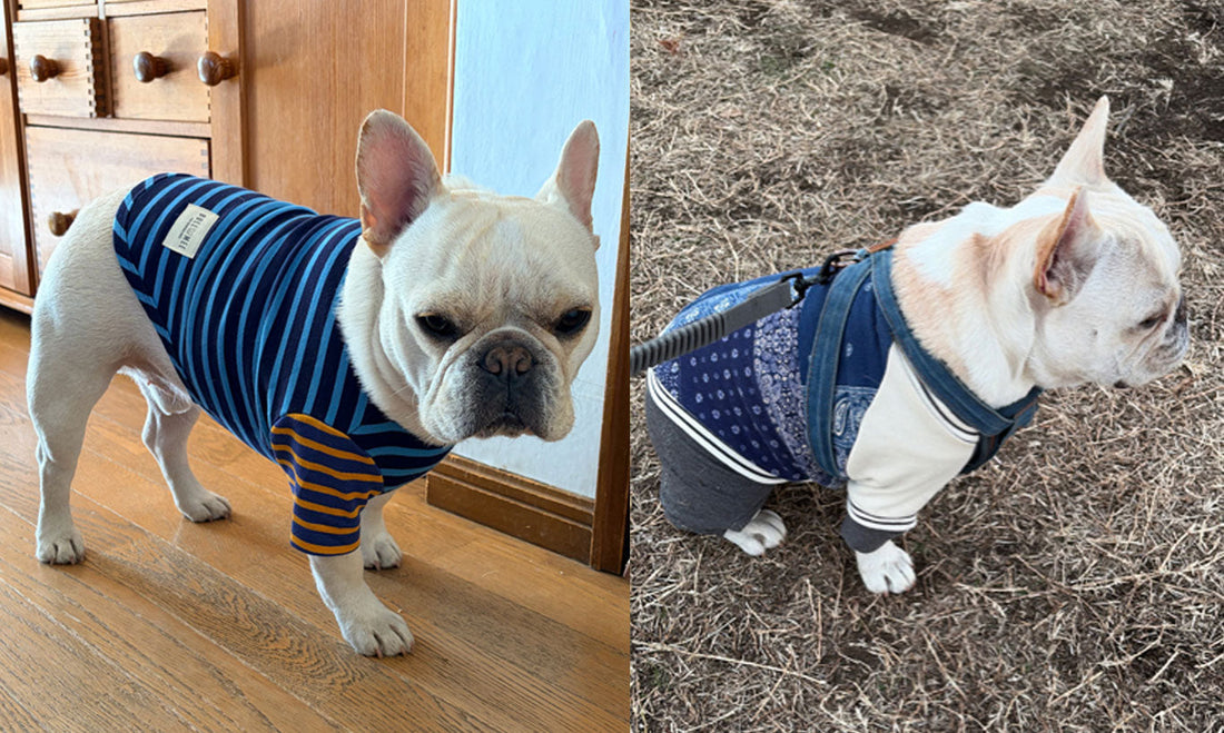 【読み物】お客様スナップのご紹介