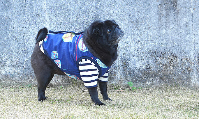 【新商品】ネパール柄ベスト＆ネックウォーマー