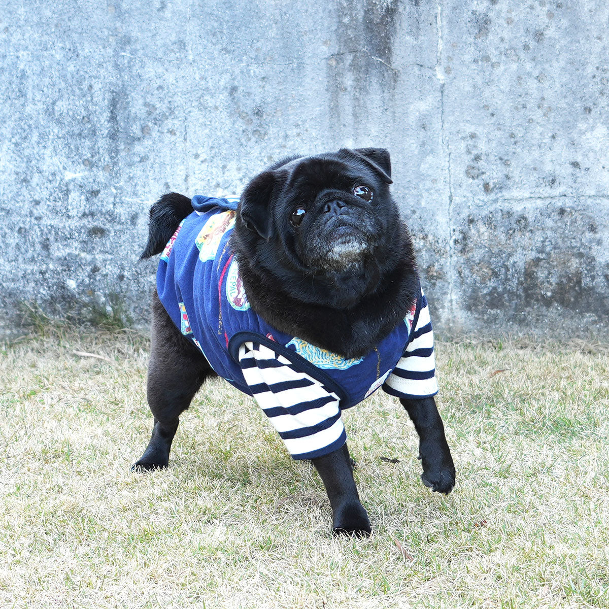 ネパール柄 マイクロフリース ベスト【在庫限り】