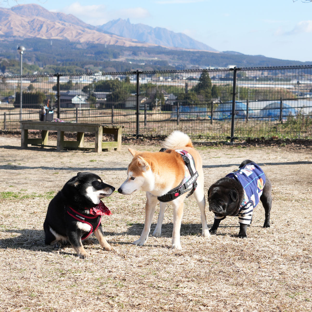 ネパール柄 マイクロフリース ベスト【在庫限り】